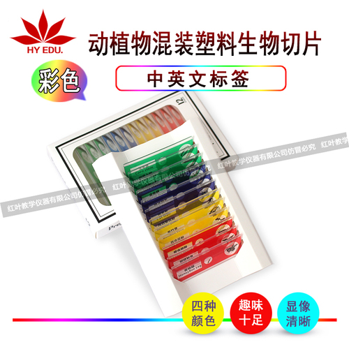 儿童显微镜用动植物混装标本切片12片中英文
