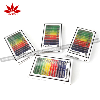 儿童显微镜用动植物混装标本切片12片英文