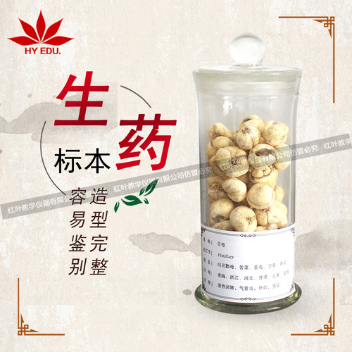 生药标本