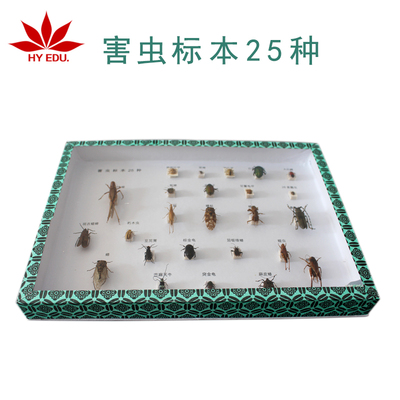 害虫标本25种