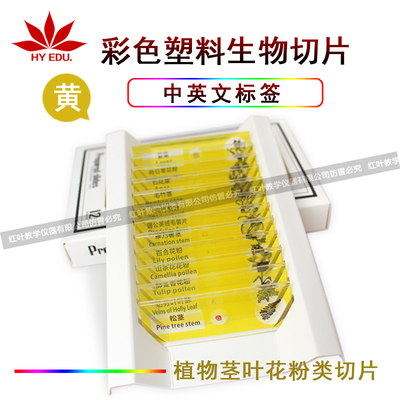 儿童显微镜用塑料生物切片12片中英文