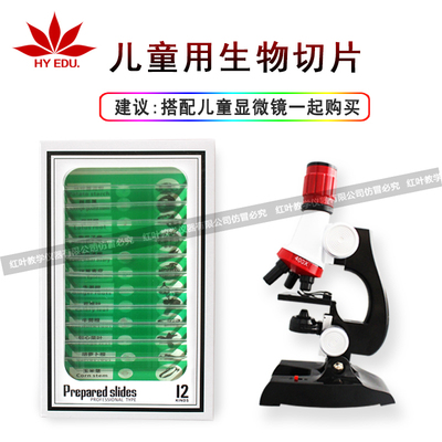 儿童显微镜用塑料生物切片12片绿色中英文