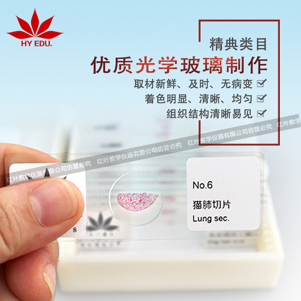 动物切片.jpg