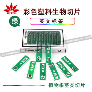 儿童显微镜用塑料生物切片12片绿色