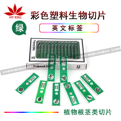 儿童显微镜用塑料生物切片12片绿色