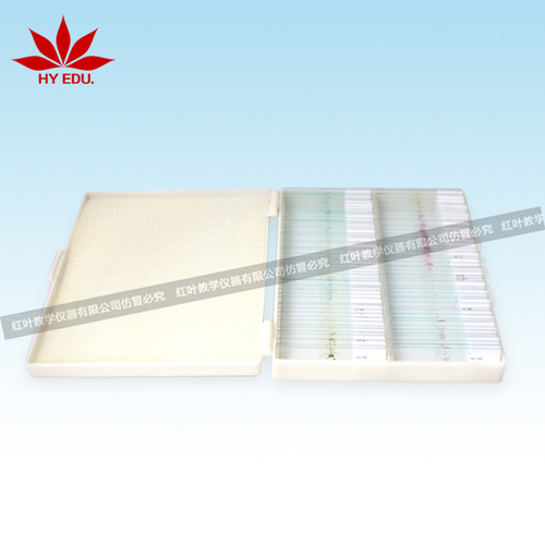 100片混装玻片套装