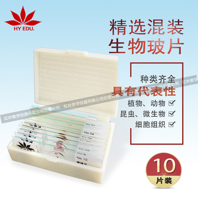10片生物切片套装