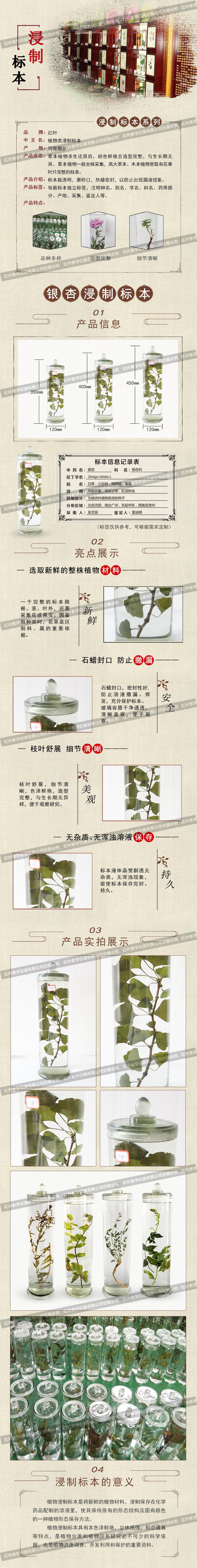 银杏(1).jpg