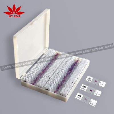 人体病理组织学玻片100种标本套装