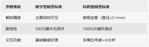 医用教学模型选型.png