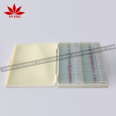塑料盒包装100片套装正常组织生物标本显微镜切片