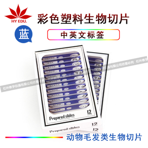 儿童显微镜用塑料生物切片12蓝色英文