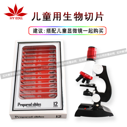 儿童显微镜用塑料生物切片12片红色英文