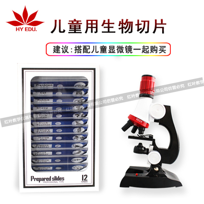 儿童显微镜用塑料生物切片12片蓝色