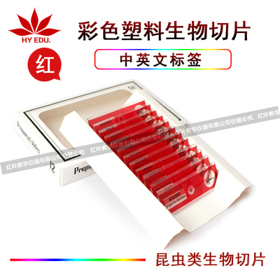 儿童显微镜用塑料生物切片12片红色中英文
