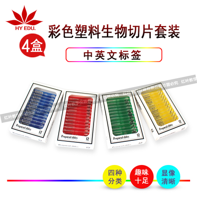 儿童显微镜用彩色塑料生物切片套装