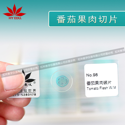 番茄果肉切片单片可选动物切片套装植物切片套装