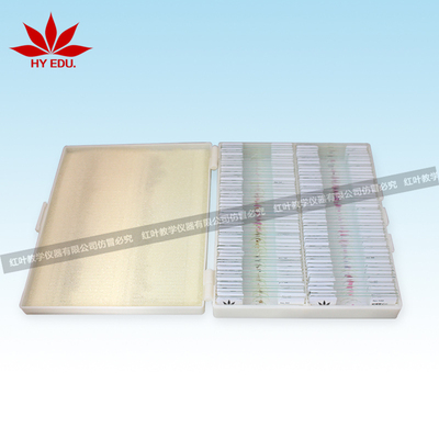 100片动物切片套装