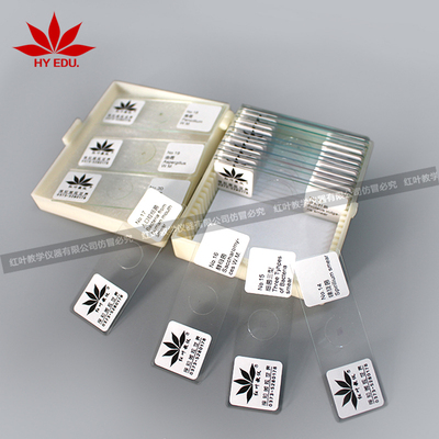 20片微生物玻片套装