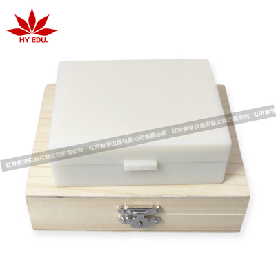 单子叶植物茎横切草本植物茎玉米茎横切单张生物切片标本