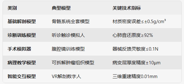 医用教学模型分类.png