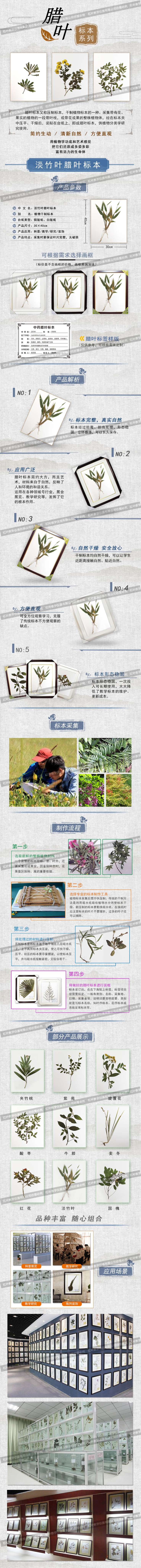 淡竹叶(1).jpg
