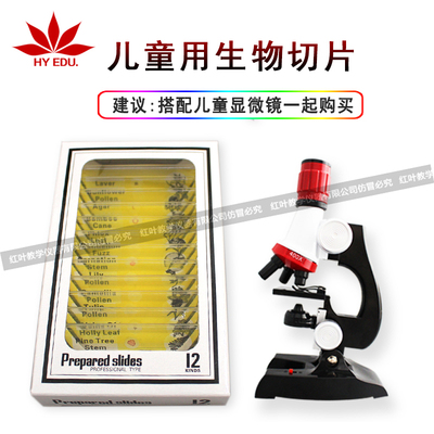 儿童显微镜用塑料生物切片12片黄色