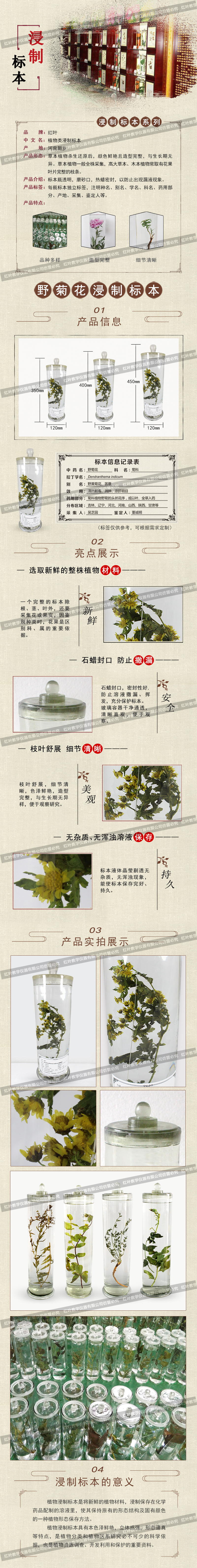 野菊花_看图王.jpg