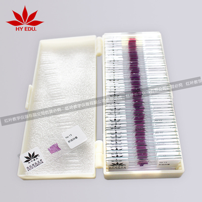 50片套装人体病理组织切片