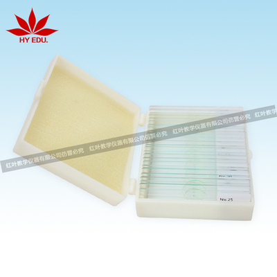 25片藻类玻片套装